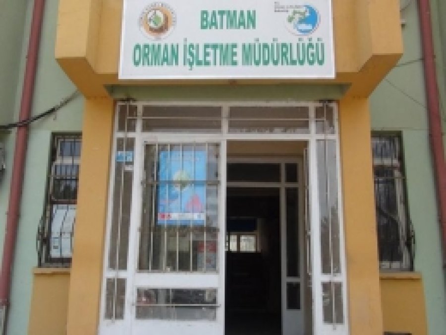 Batman Orman Kenti Olma Yolunda