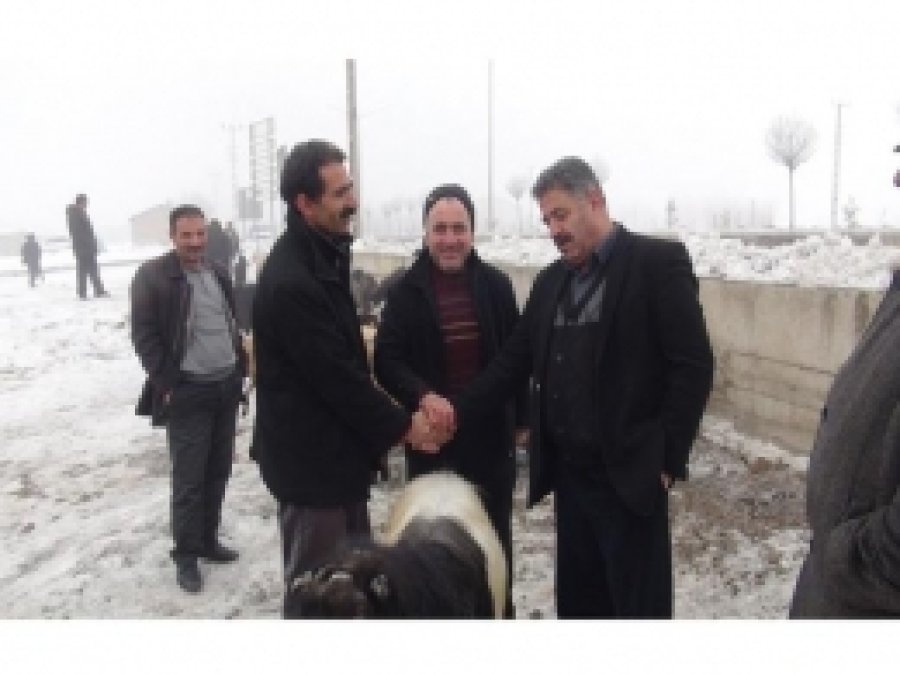 Muşt'a Hayvan Fiyatları İyi, Pazar Yeri Kötü