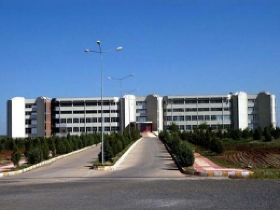 Dicle Üniversitesi'nden 'Ağaç Katliamı' Haberlerine Yalanlama 