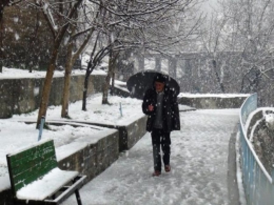 Bitlis Şiddetli Kar Yağışının Etkisine Girdi 