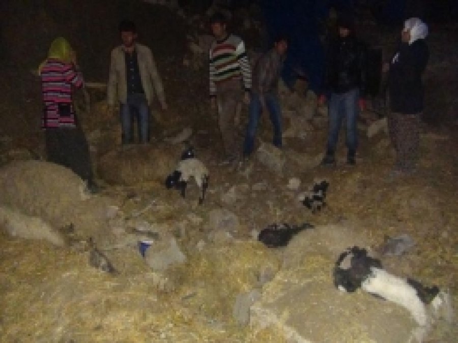 Mazıdağı'nın Yağmurlu Köyünde Heyelan 