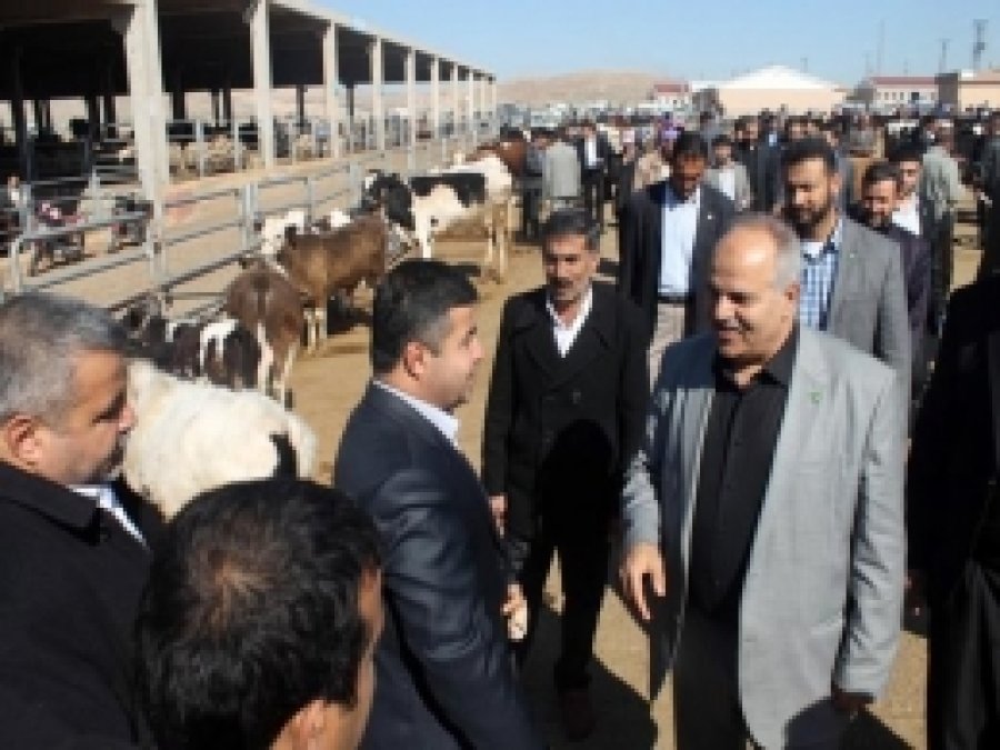 HÜDA PAR Şanlıurfa'da Esnaf Ziyaretlerini Sürdürdü 