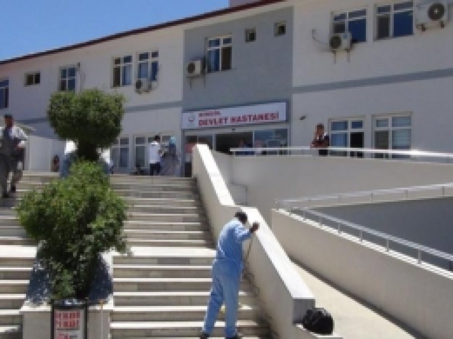 Bingöl'de1 Ayda 82 Bin 971 Hasta Muayene Oldu