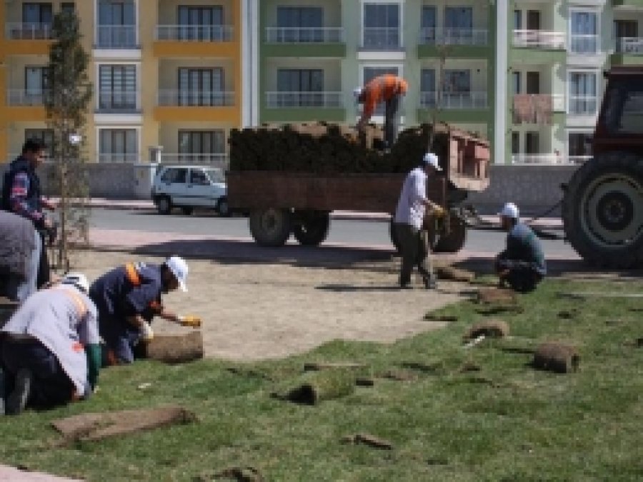 Konya'da Parklar Rulo Çim Metoduyla Yeşillendiriliyor 