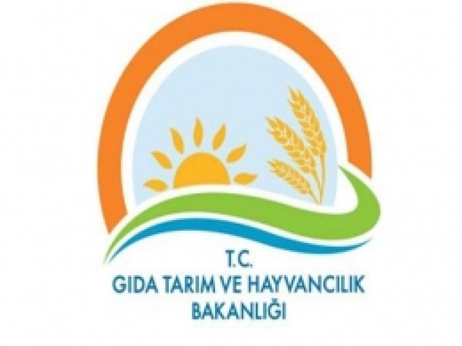 Hububat Destekleme Ödemeleri Bugün Başlıyor 