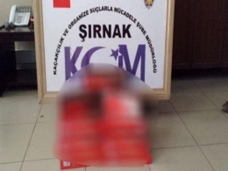 Şırnak'ta Kaçakçılık Baskınları