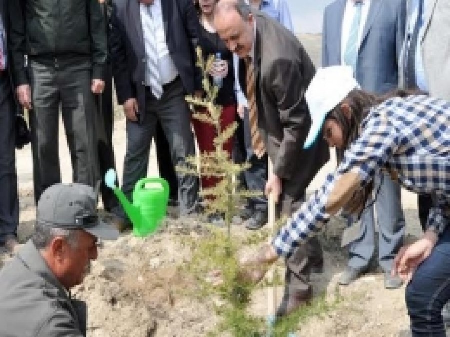 Necmettin Erbakan Üniversitesi'nde 2 Bin Fidan Dikildi