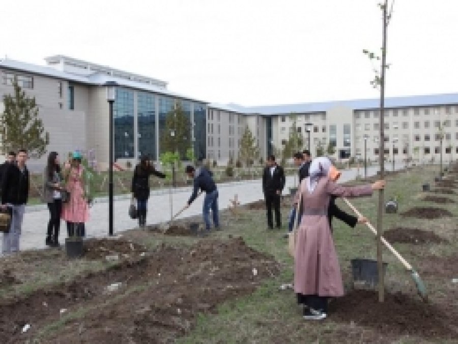 Üniversite Öğrencileri 60 Bin Adet Ağaç Dikti 