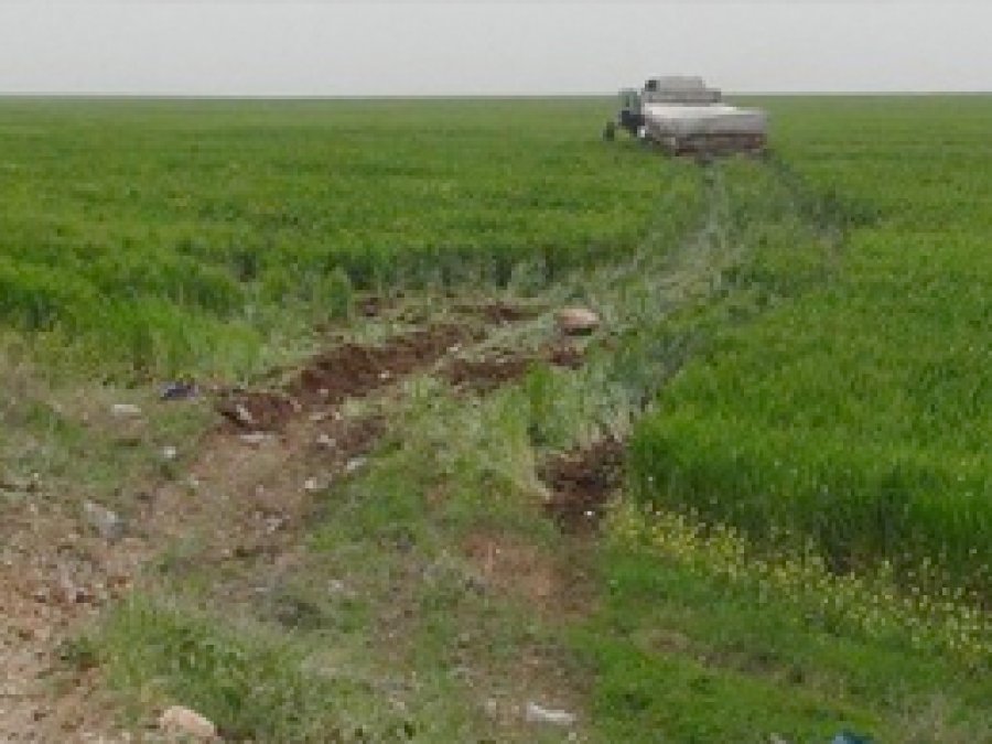 TIR Buğday Tarlasına Girdi