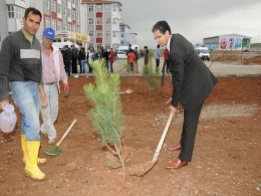 İnşaatı Tamamlanan Okulda Ağaçlandırma Çalışması Yapıldı