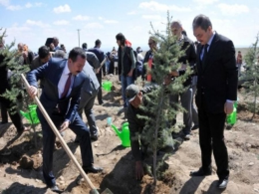 SÜ, Kuruluş Yıldönümünde Fidan Dikiyor 
