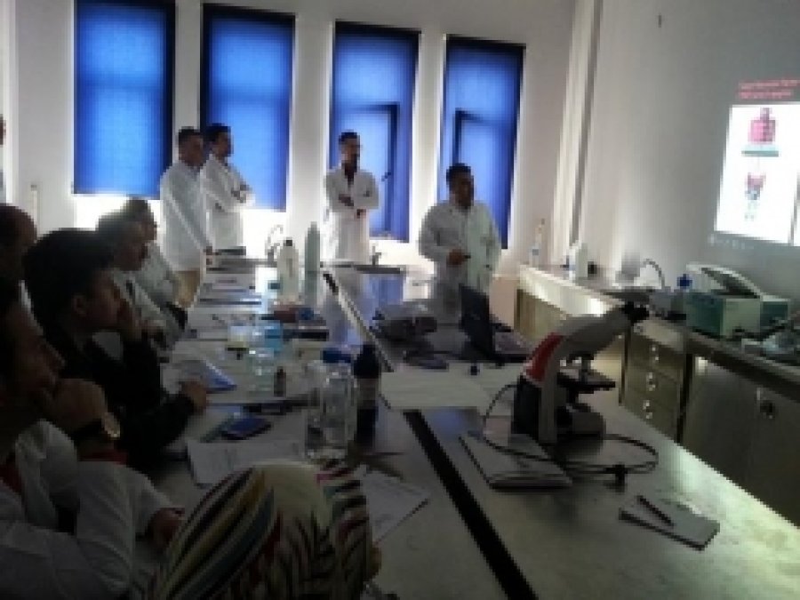 Kursiyerler TUNEL Apoptoz Testinde Bilgilendirildi