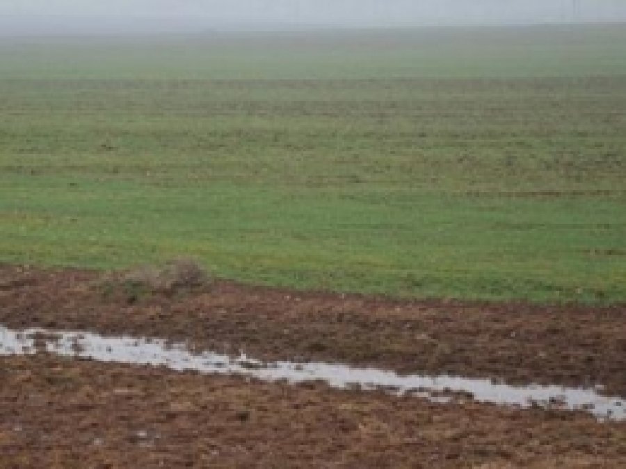 Çiftçiyi Sevindiren Yağmur Vatandaşları Hazırlıksız Yakaladı