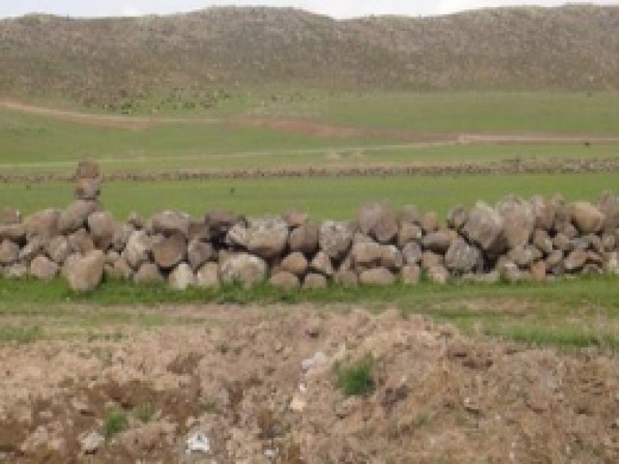 PKK,  BDP'ye Oy Vermeyen Hayvan Sahiplerini Tehdit Etti 
