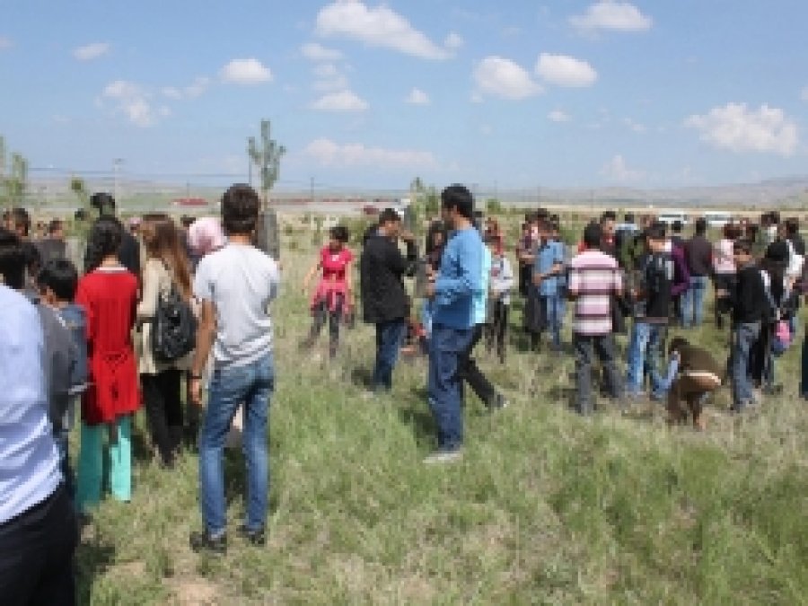 Engelli Öğrenciler Ağaç Dikti