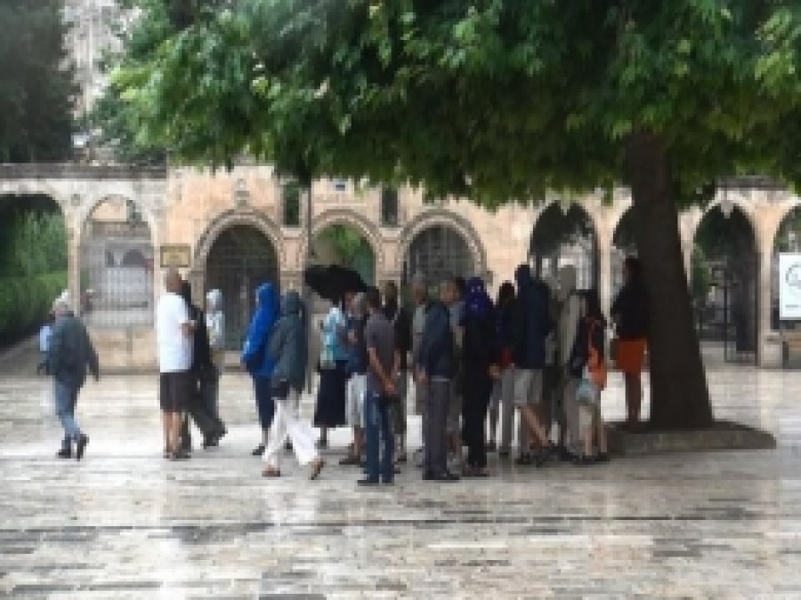 Şanlıurfa'da Şaşırtan Yağmur