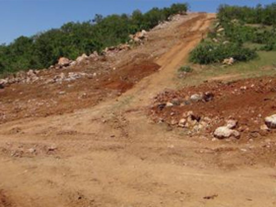 Bingöl'de 'Orman Katliamı' İddiası 