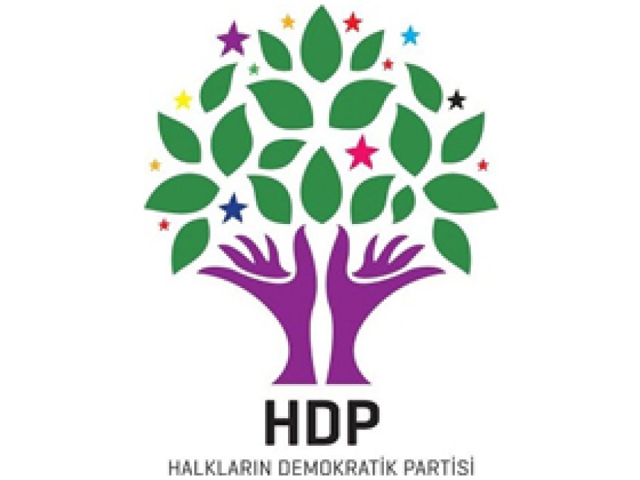 HDP Cumhurbaşkanı Adayını Açıkladı
