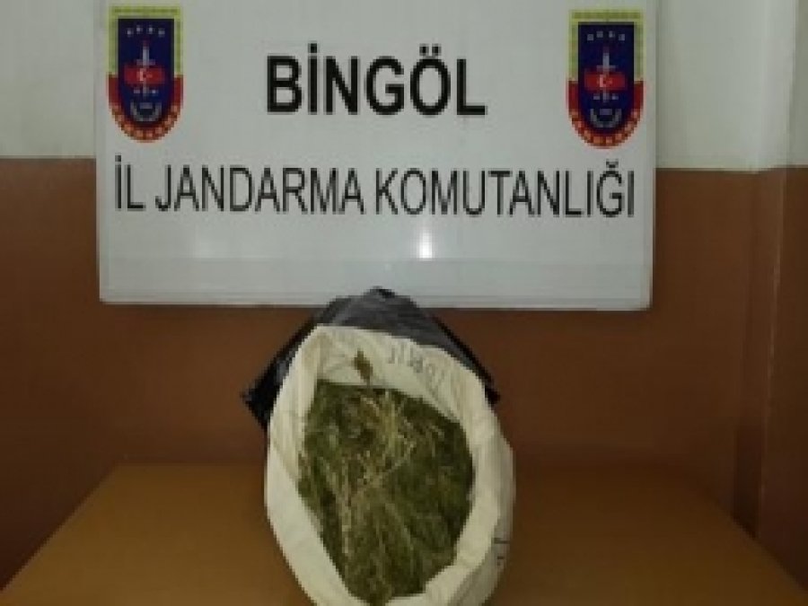 Bingöl'de 36 Kilo Esrar Ele Geçirildi 