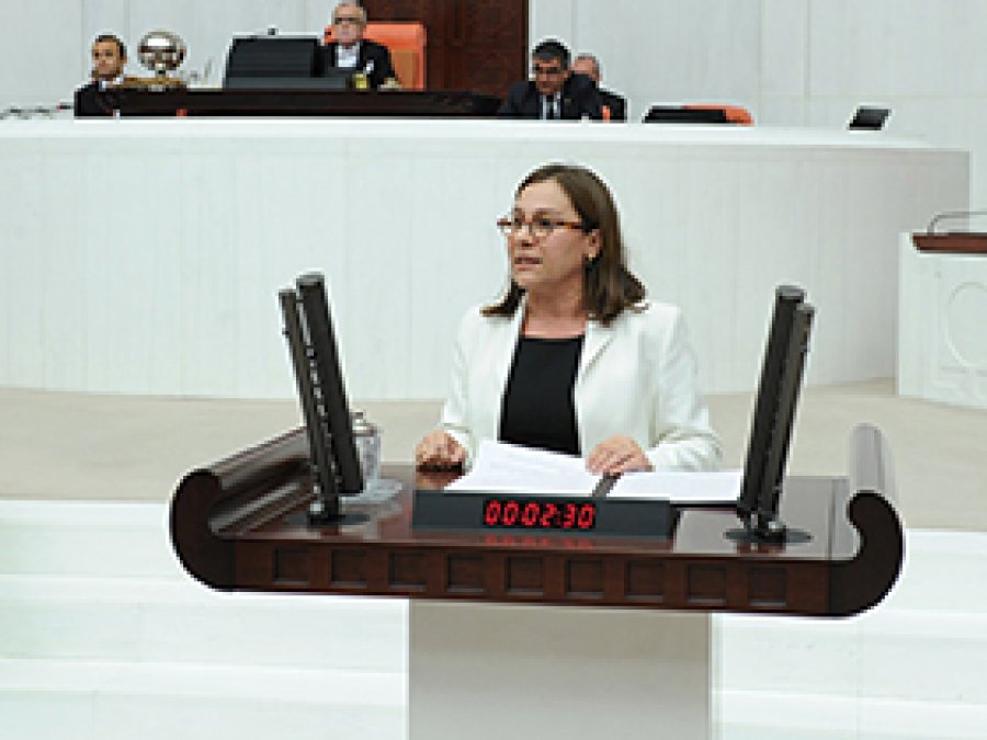 CHP'li Kaleli'den Hızlı Tren Uyarısı