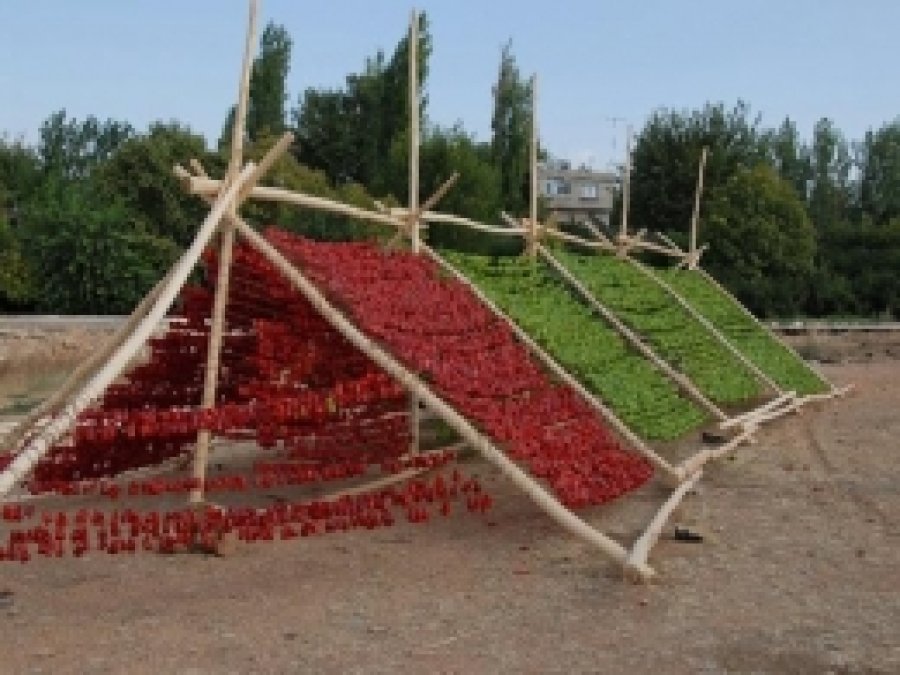 Gaziantep'te Kurutmalık Sezonu 