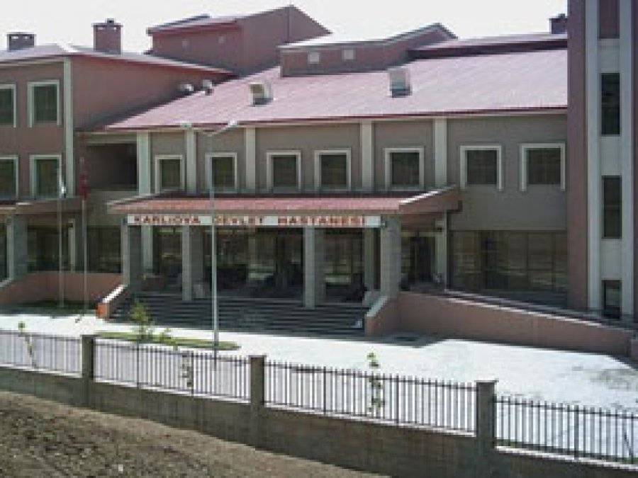 Bingöl'de Kamyonetin Çarptığı Şahıs Öldü 