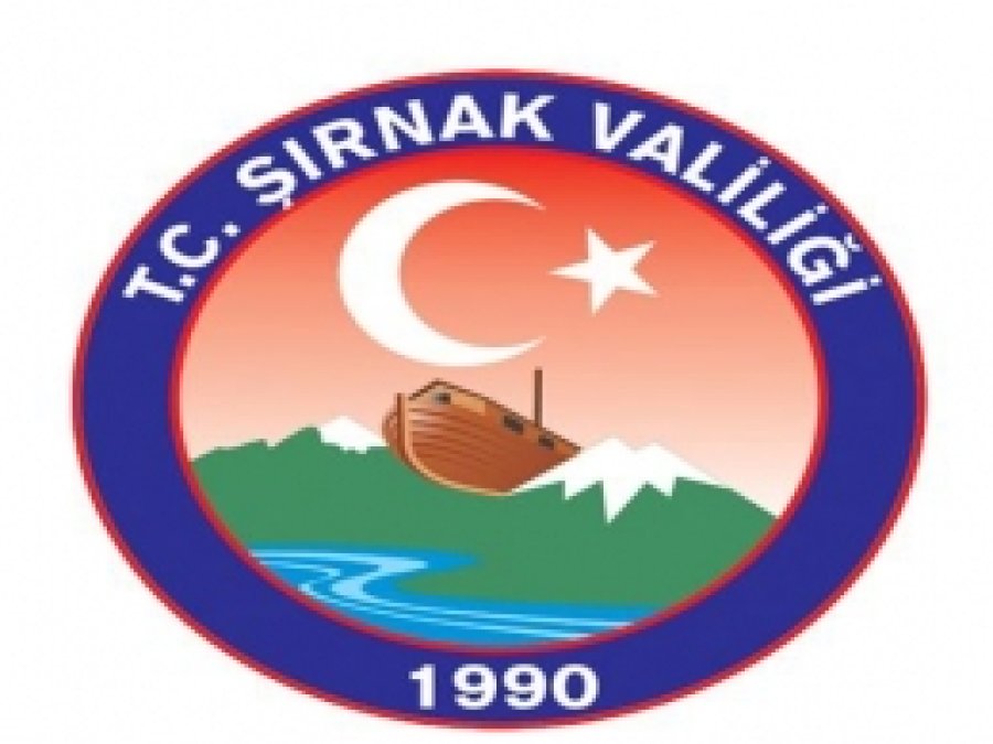 Şırnak'ta 3 PKK'lı Teslim Oldu