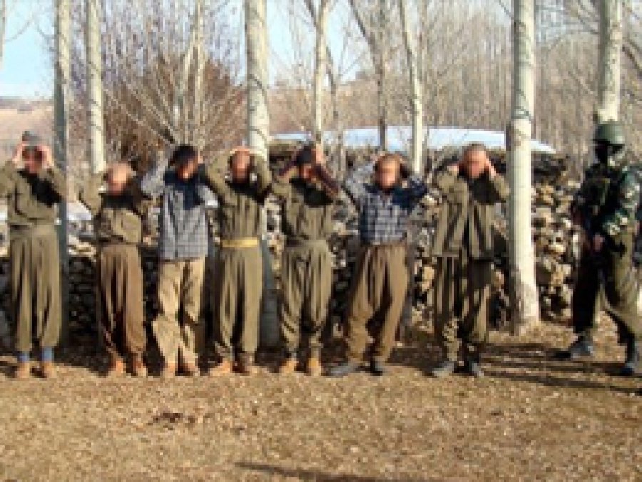 Şırnak'ta 9 PKK'li Teslim Oldu 