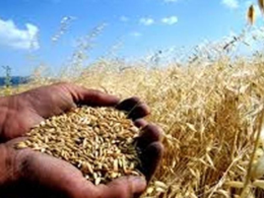 Tarım sigortalarının kapsamı genişliyor