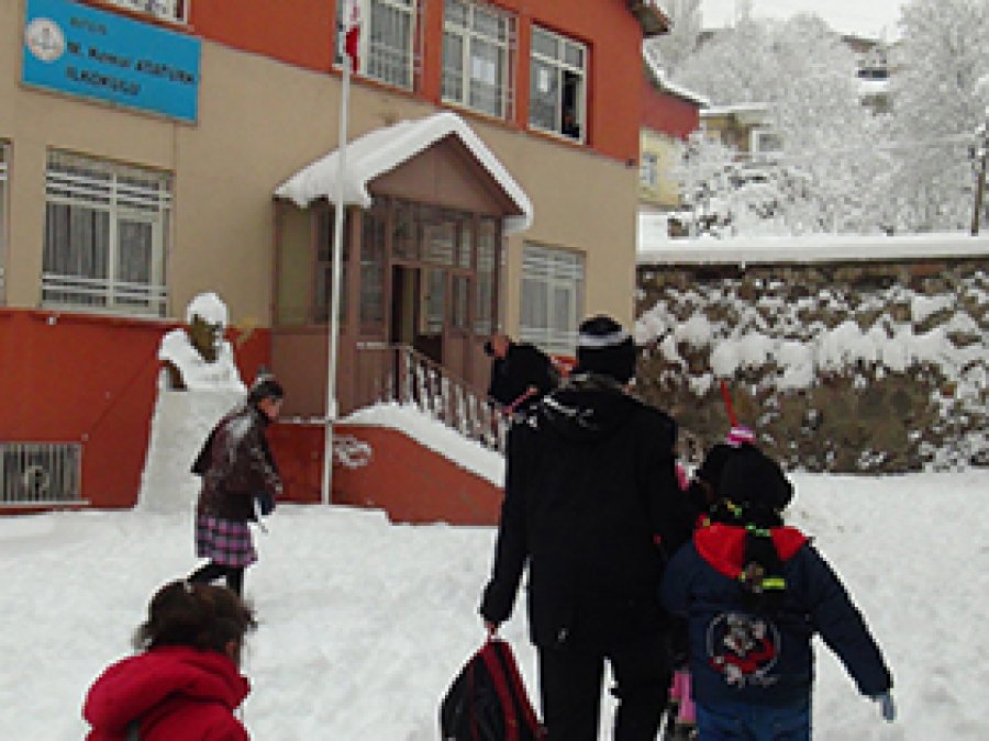 Bitlis'te okular 2 gün tatil edildi