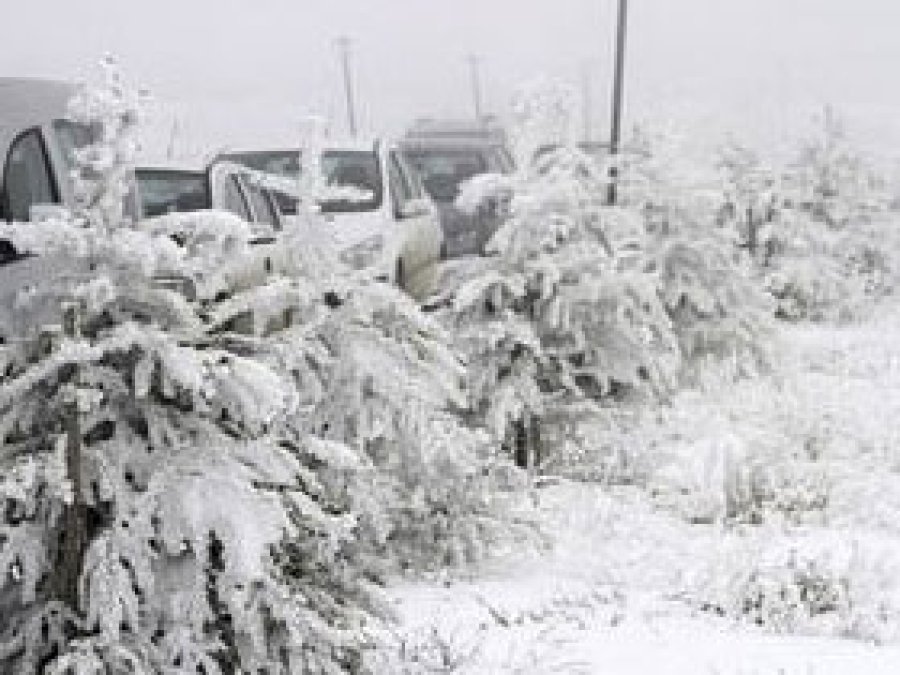 Doğu'da Sibirya soğukları