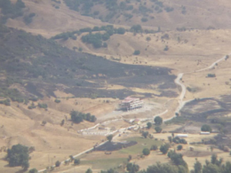 Bitlis'te ikisi milletvekili 21 HDP'li gözaltına alındı