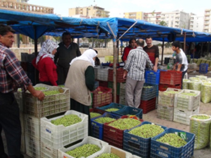 Mardin'de zeytin pazarı kuruldu