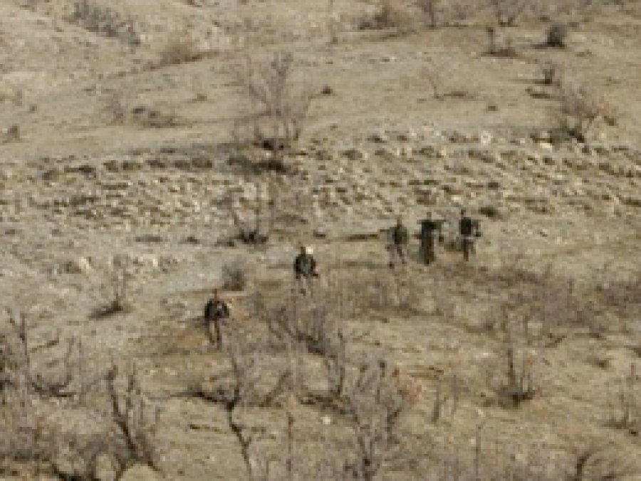 Şırnak'ta 2 PKK'li öldürüldü