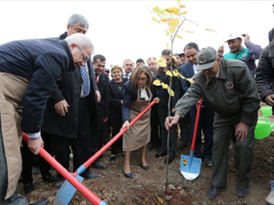 Antep'te bal ormanı için fidanlar dikildi