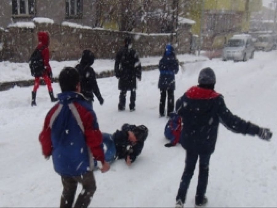 Hakkâri'deki okullarda kar tatili  