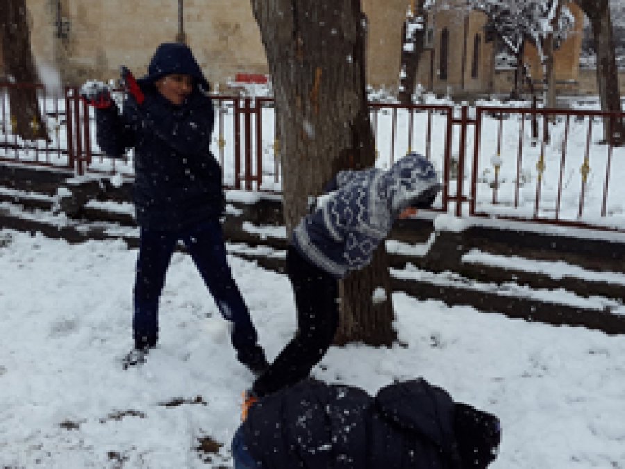 Silvan'da kar nedeniyle taşımalı eğitim durduruldu
