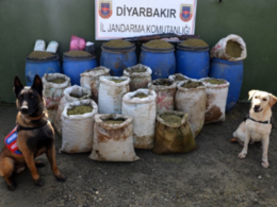 Diyarbakır'da esrar baskını