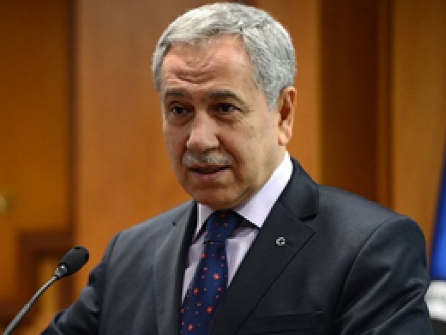 Arınç, 'Fidan'ın istifasını israf olarak görürüm'