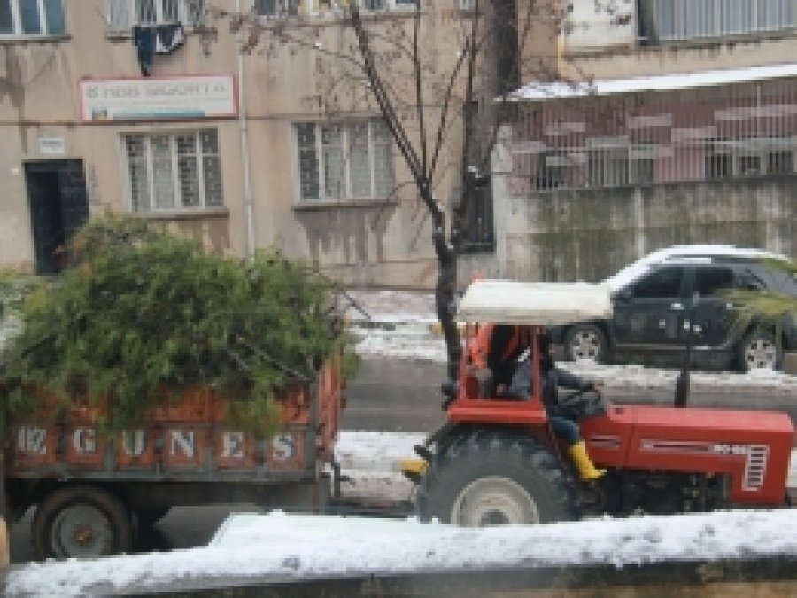 Urfa'da kar ağaçları devirdi    