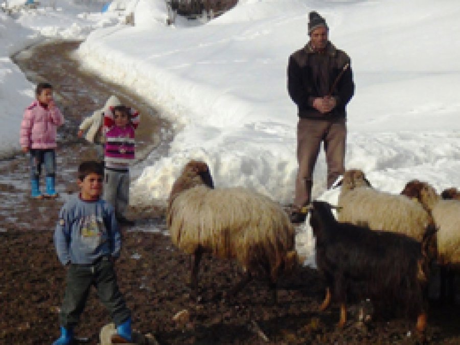 Kış aylarında köylerde yaşam zorlaşıyor