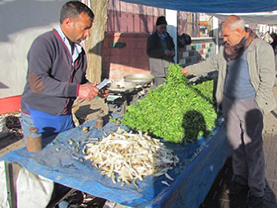 Baharın müjdecisi bitkiler pazara indi