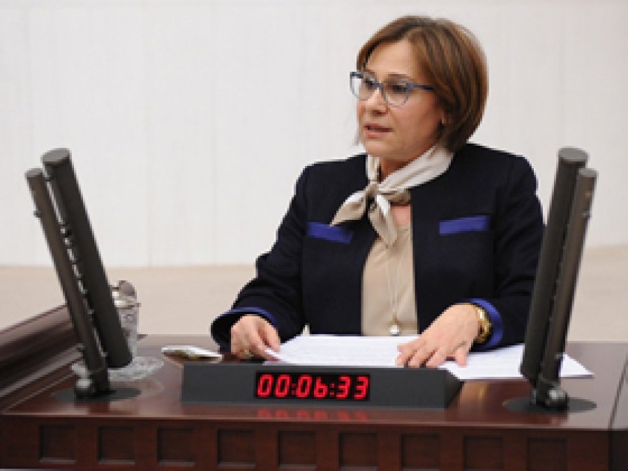 CHP'den Arınç'ın sözleri için soru önergesi