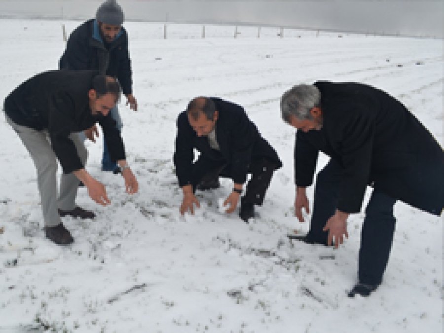 Tutak'ta kar yağışı çiftçileri etkiledi