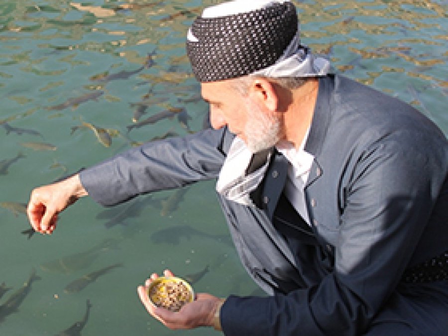 Alimler Peygamberler şehrini gezdi