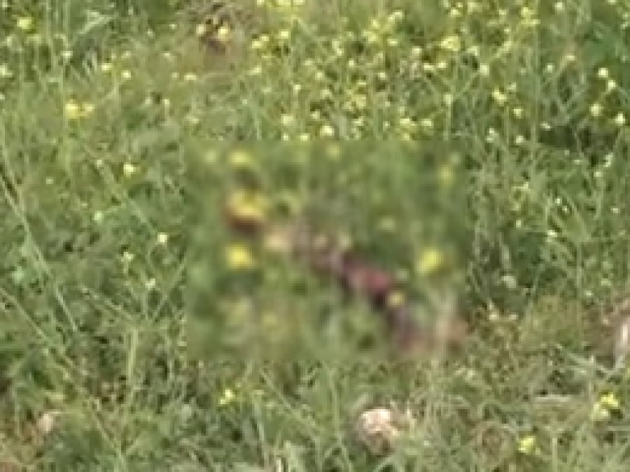 Gaziantep’te bulunan kesik bacak sırrı çözüldü