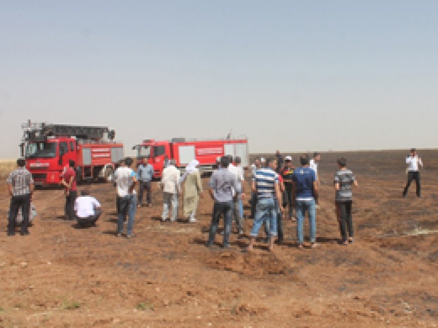 Mardin’de 500 dekar buğday tarlası yandı