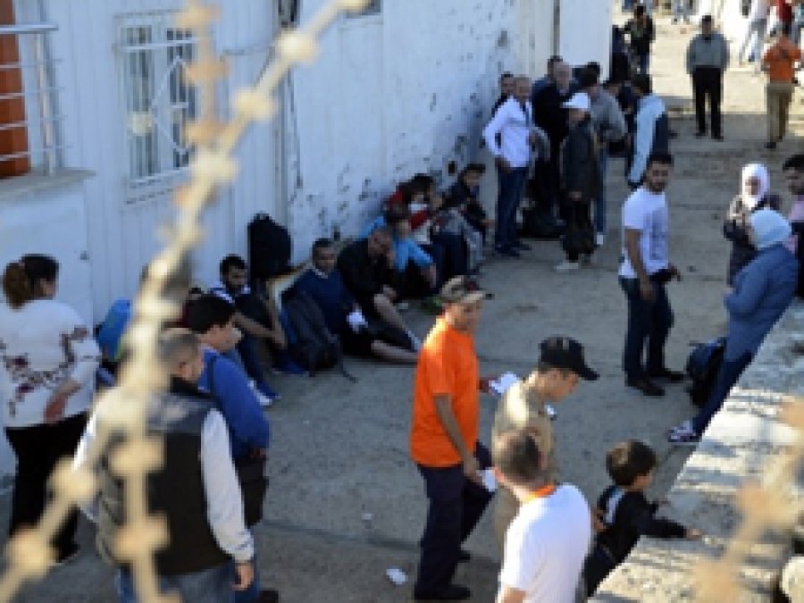Bodrum'da 250 mülteci yakalandı