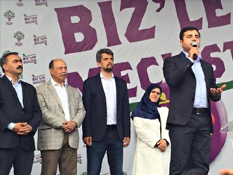 Demirtaş: Fikri Erdoğan'dan aldık