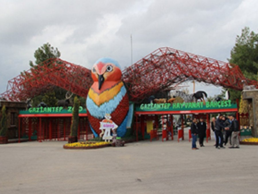 Antep'teki safari parkına yoğun ilgi